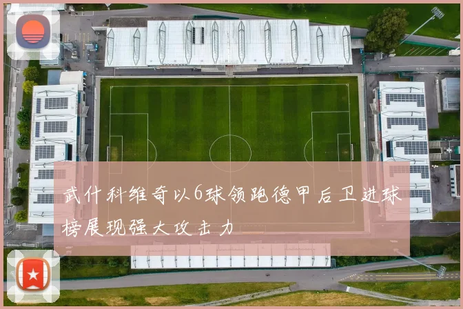武什科维奇以6球领跑德甲后卫进球榜展现强大攻击力